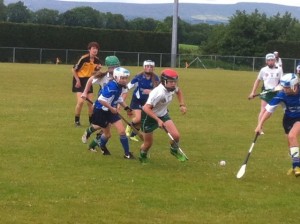 St. Brigid's v Ballygalget