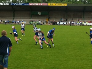 St Brigid's v Cranford (Wexford) Shield Semi Final