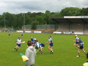 St Brigid's v Cranford (Wexford) Shield Semi Final