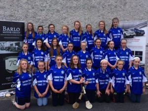 U14 St Brigid's panel Feile